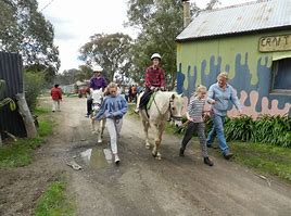 Horse Riding